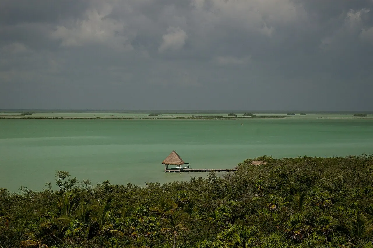 Lagoon and mangroves in the Sian Ka'an Biosphere Reserve