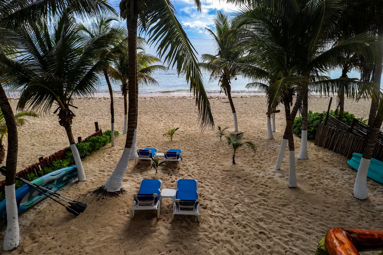 Lounge chairs and hammocks in the shade of palm trees on the beach