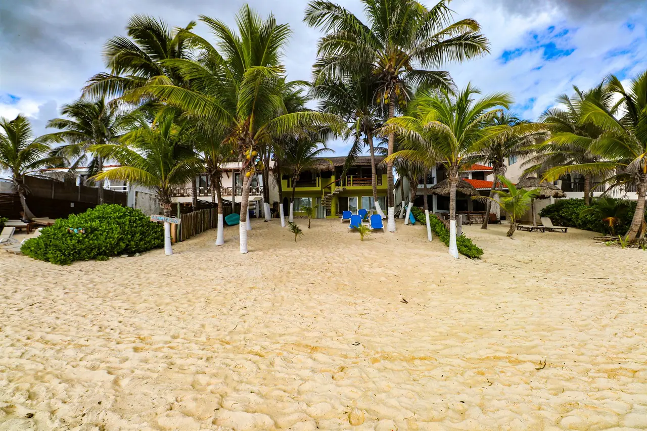 The building seen from the beach, framed by palm trees