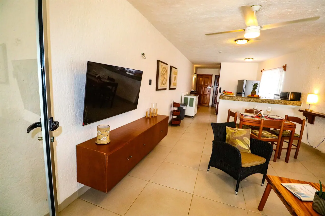 Living room with TV